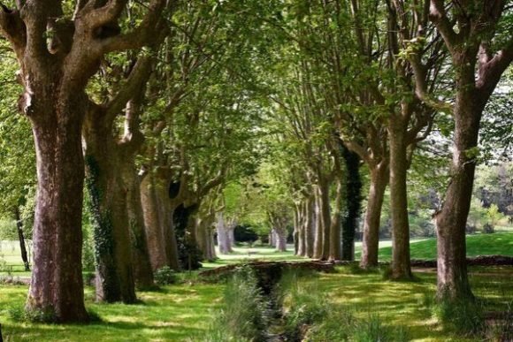 Domaine de Châteauneuf